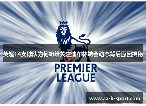 英超14支球队为何纷纷关注迪布林转会动态背后原因揭秘